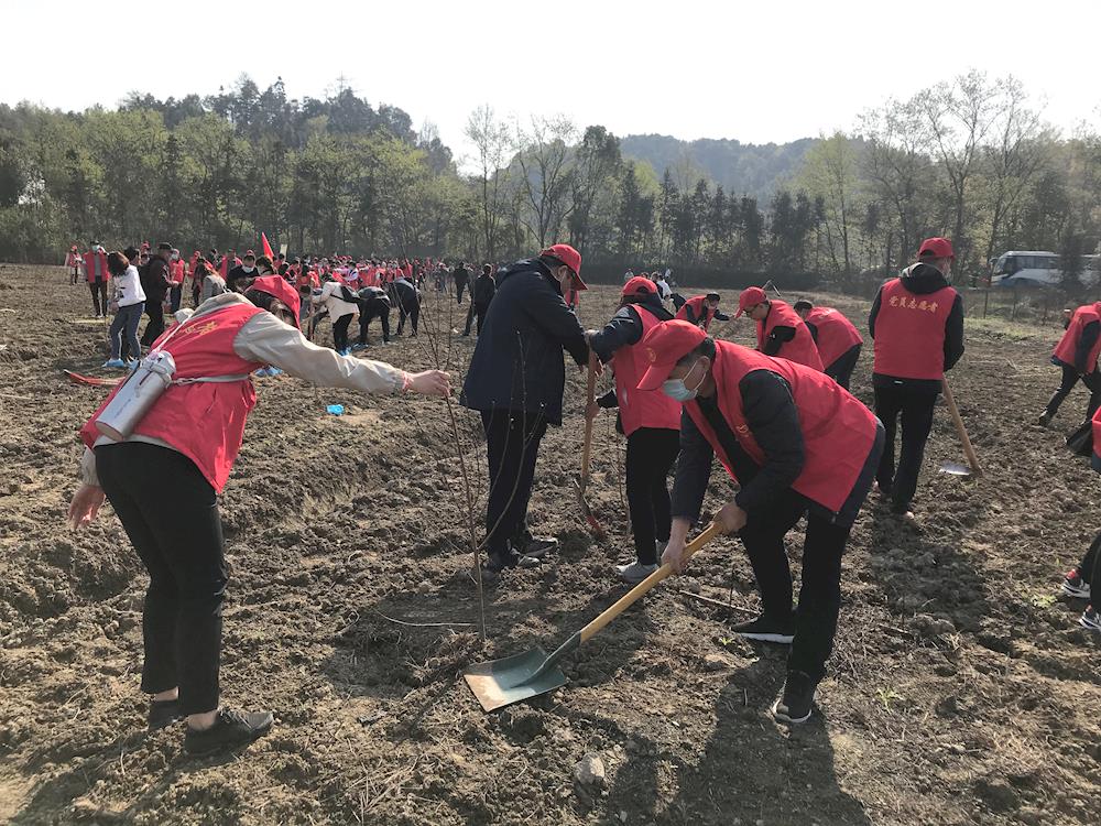 07c2843ec23944aeb30247b22288bb67.jpg 07c2843ec23944aeb30247b22288bb67.jpg