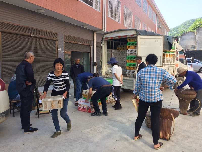 713866a59c2244eda647858a9de0ac24.jpg 713866a59c2244eda647858a9de0ac24.jpg