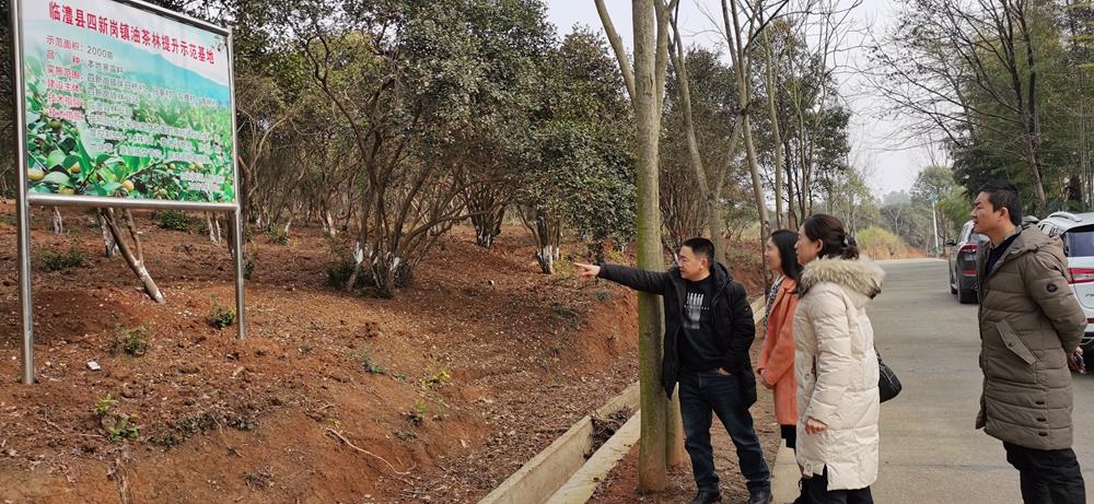 7ee91081748c47d6b43525e85f2d8186.jpg 7ee91081748c47d6b43525e85f2d8186.jpg